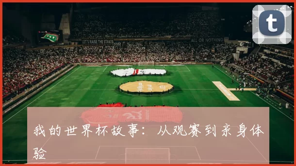 我的世界杯故事:从观赛到亲身体验