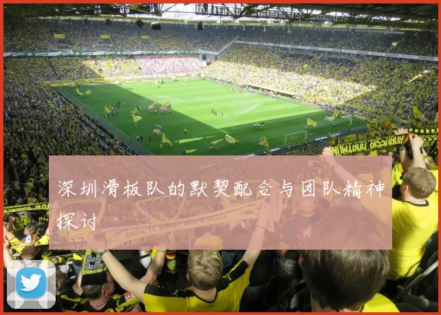 深圳滑板队的默契配合与团队精神探讨