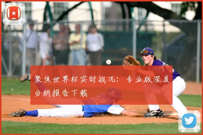 聚焦世界杯实时战况:专业版深度分析报告下载