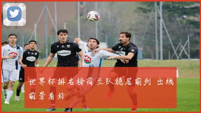 世界杯排名榜荷兰队稳居前列 出线前景看好
