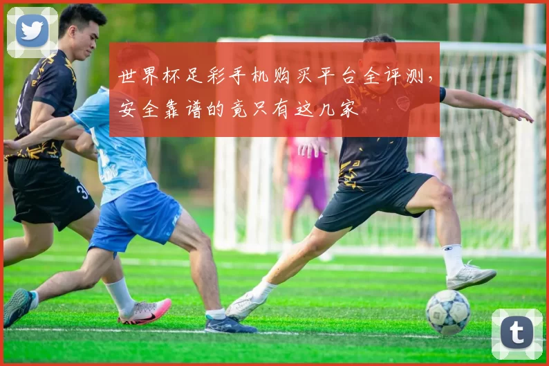 世界杯足彩手机购买平台全评测，安全靠谱的竟只有这几家