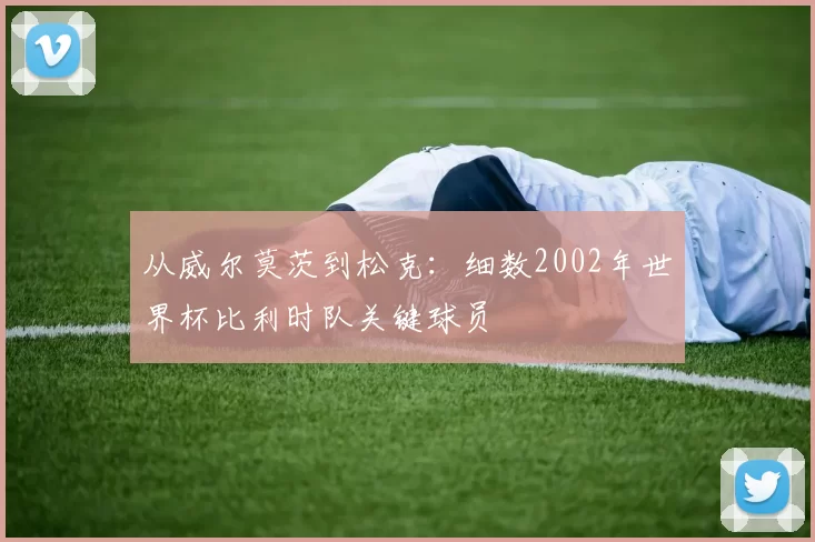 从威尔莫茨到松克：细数2002年世界杯比利时队关键球员