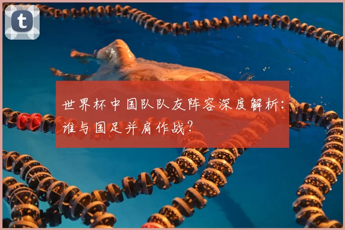 世界杯中国队队友阵容深度解析:谁与国足并肩作战?
