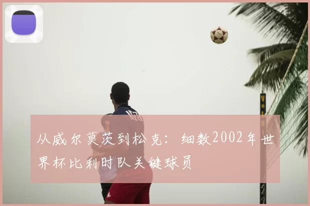 从威尔莫茨到松克：细数2002年世界杯比利时队关键球员