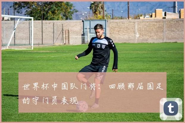 世界杯中国队门将:回顾那届国足的守门员表现
