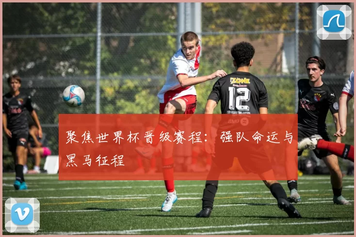 聚焦世界杯晋级赛程：强队命运与黑马征程