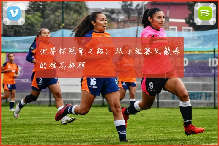 世界杯冠军之路:从小组赛到巅峰的难忘旅程