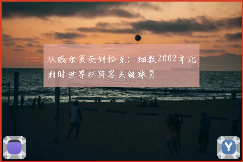 从威尔莫茨到松克:细数2002年比利时世界杯阵容关键球员