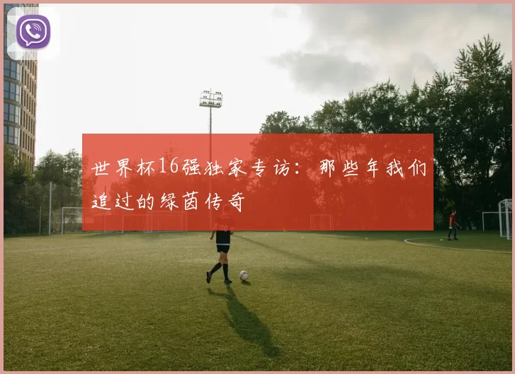 世界杯16强独家专访：那些年我们追过的绿茵传奇