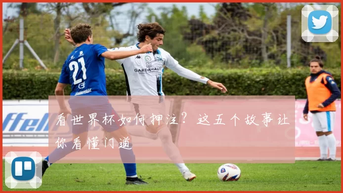 看世界杯如何押注?这五个故事让你看懂门道