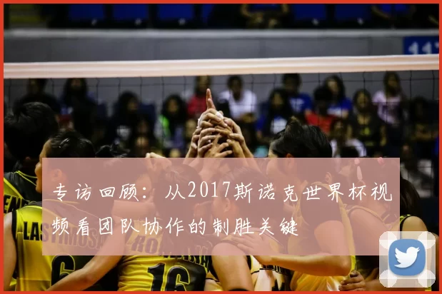 专访回顾：从2017斯诺克世界杯视频看团队协作的制胜关键