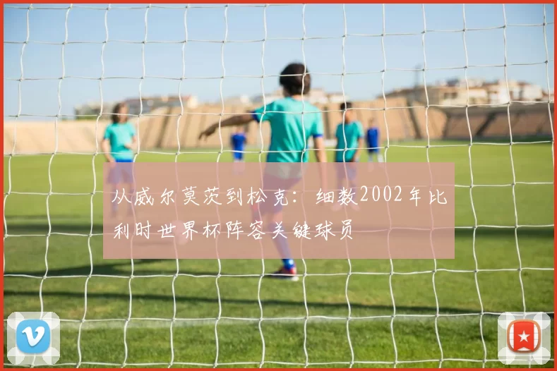 从威尔莫茨到松克:细数2002年比利时世界杯阵容关键球员