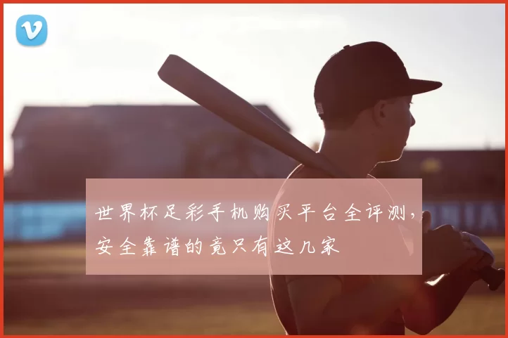 世界杯足彩手机购买平台全评测，安全靠谱的竟只有这几家