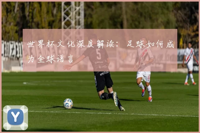 世界杯文化深度解读：足球如何成为全球语言