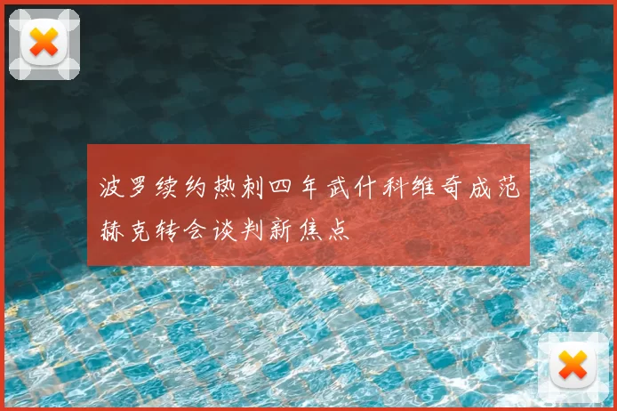 波罗续约热刺四年武什科维奇成范赫克转会谈判新焦点