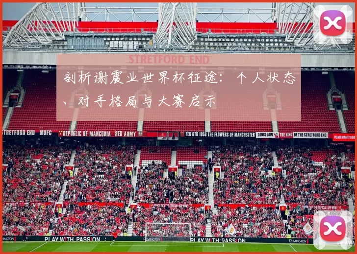 剖析谢震业世界杯征途:个人状态、对手格局与大赛启示